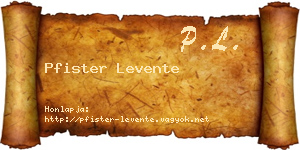 Pfister Levente névjegykártya
